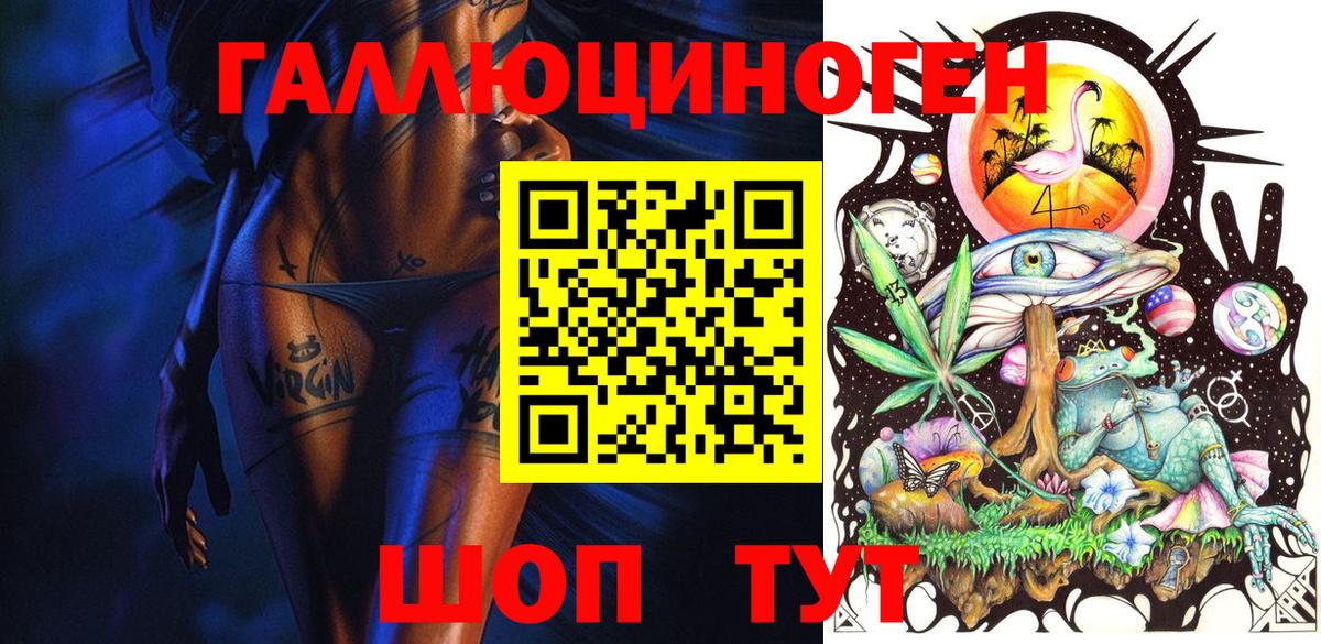 Псилоцибиновые грибы Psilocybine cubensis  Новороссийск  Псилоцибиновые грибы GOLDEN TEACHER 